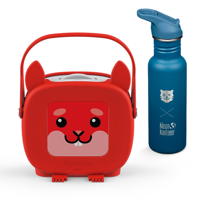 tigerbox MINI Entdeckerpaket Klean Kanteen® Edition