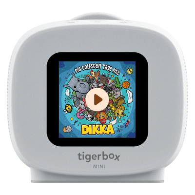 Detailaufnahme der tigerbox MINI ohne Tragehülle - Playeransicht fontal