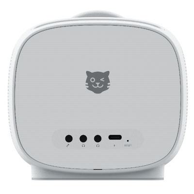 Detailaufnahme der tigerbox MINI ohne Tragehülle - Rückansicht