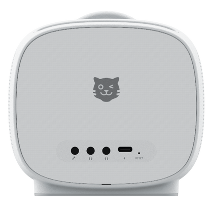 Detailaufnahme der tigerbox MINI ohne Tragehülle - Rückansicht